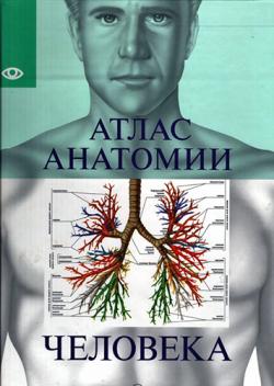 Атлас анатомии человека)