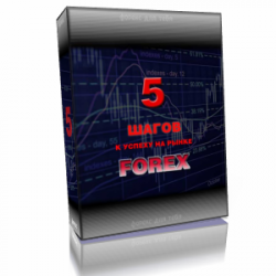 Как достичь успеха на Forex.